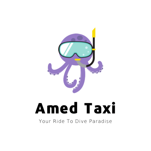 Amed Taxi Logo